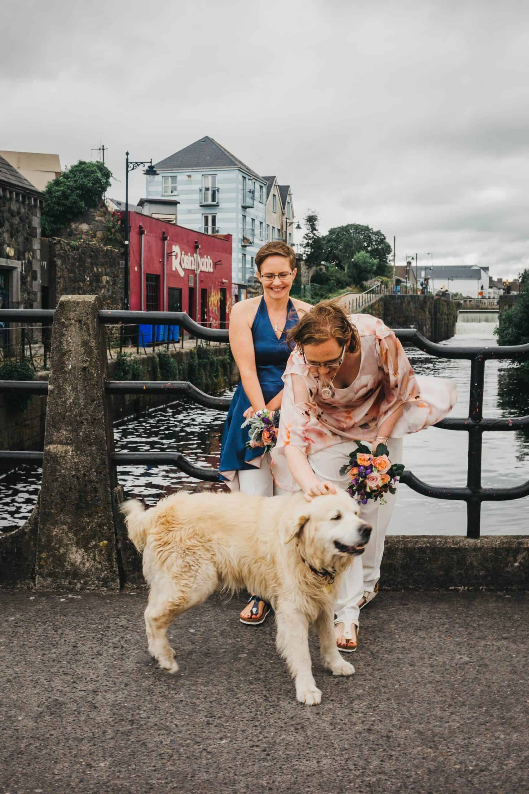 Galway City Elopement Ireland Dog Love